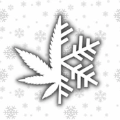 GG#4 Disposable Live Rosin Vape Cartridge | Snow Tree Farm