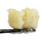 Live ROSIN Fruitizma DAF