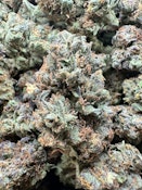 Gelato Biscotti $59/$85 Light assist