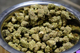 BSD Specialty Farms - Runtz Deli Flower