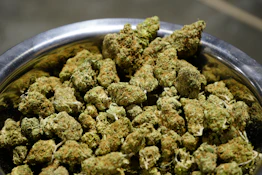 BSD Specialty Farms - White Rhino Deli Flower