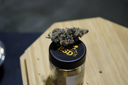 BSD Specialty Farms - Tropical Fusion 3.5 Flower