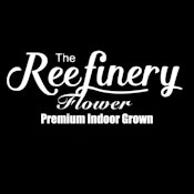 Reefinery - Blue Dream (S) 