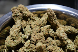 BSD Specialty Farms - Do Si Do Deli Flower