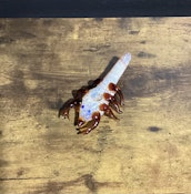 7" Color Changing Raked Glass Scorpion Pipe