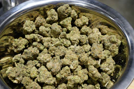OddFellow - Gary Payton x JetFuel Deli Flower
