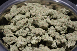 District 2- Blue Dream Deli