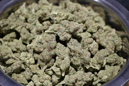 District 2- Ghost OG Deli