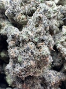 Purple Push Pop $69 half/$99 Oz Indoor