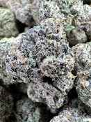 Gumbo  INDOOR $79 half/$115 Oz