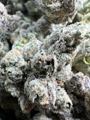 Cream Pop indoor $79/$105