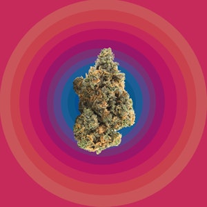 BURRS PLACE - BURRS PLACE | BLUEBERRY MUFFIN | FLOWER | 3.5G