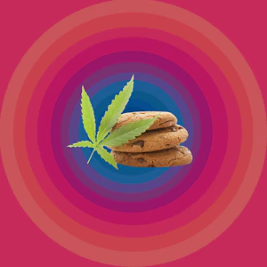 HALFPIPE - HALFPIPE | PEACH ROSIN | EDIBLE | 100MG