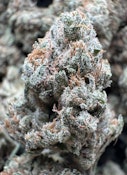 SFV OG INDOOR   $79 half/$109 Oz