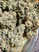 Kosher D (Bx1) | Blackwood Cultivation