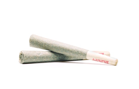 GARDEN GREENS - Z Pie - 2 x 0.5g Preroll Pack