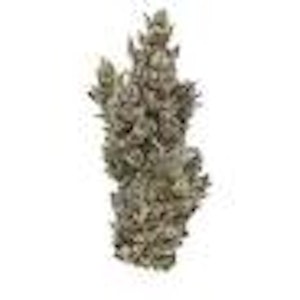 HIT SLUGGERS - Sluggers - Flower - Runtz - 5G