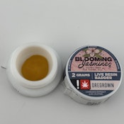 Oregrown | Live Resin 2g [S] | Blooming Jasmine
