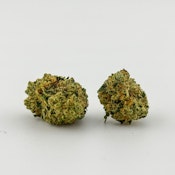 Williams Wonder | Purple Punch (6425)