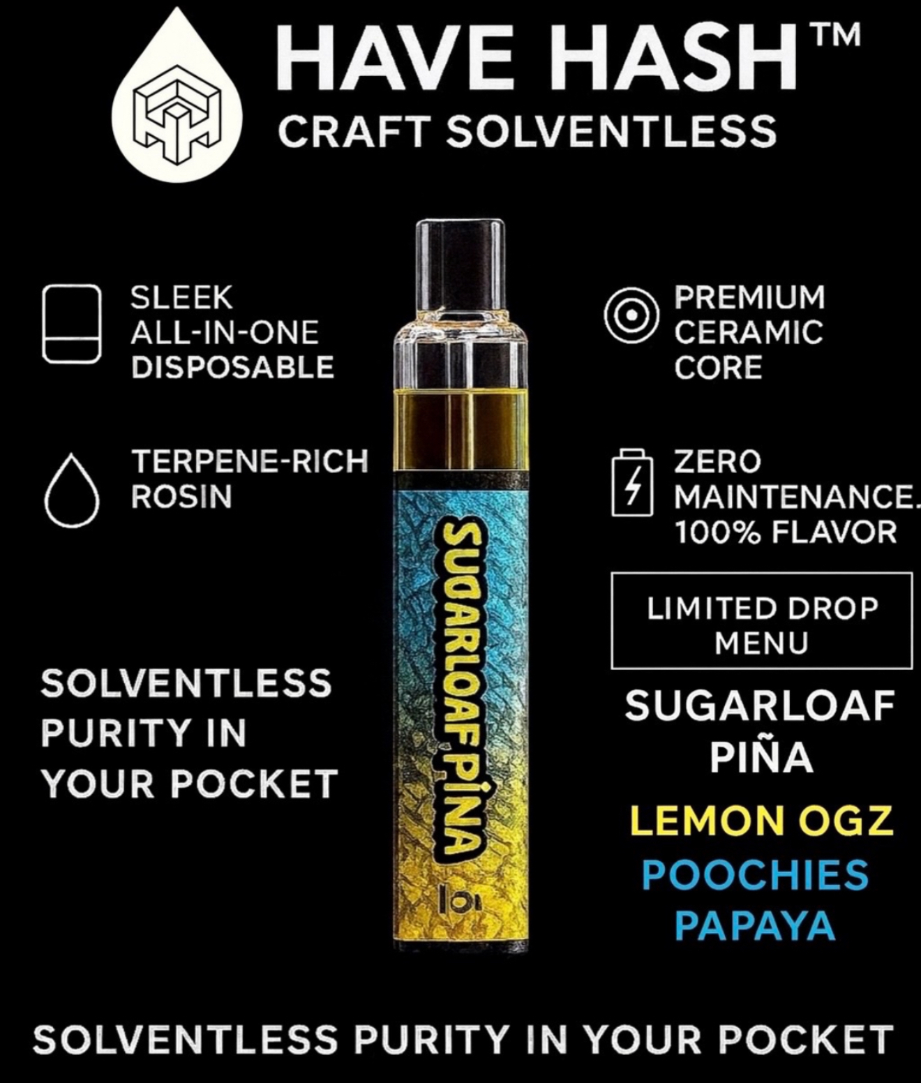 HAVE HASH - Sugar Loaf Pina .5g AIO Rosin Vape Cart