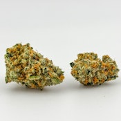 Focus North | Flower [H] | Pie Hoe (5431)