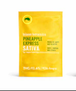 BISON BOTANICS | Pineapple Express | 1G Cartridge