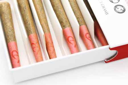 Jennys Baked at Home Company - JENNY'S | Biscotti | 10 Pk .5G Prerolls
