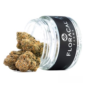 Floracal - Floracal - Flower - Canal St Runtz- 14G