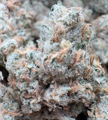 Super Lemon Haze🍋 Topshelf indoor 