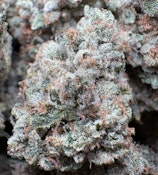 Skywalker OG⛽️ Topshelf indoor 