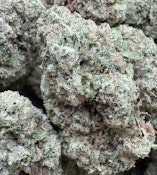 Blue Nerdz  premium sungrown