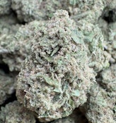 Papayahuasca  premium sungrown