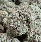 Lantz premium sungrown