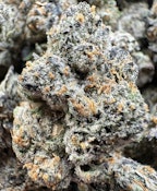 Blueberry cheesecake Indoor 