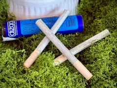 Dizgo | 3 pack mini preroll (.35g ea) | Blue Dream
