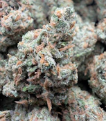 REAL FIRE SOCIETY | Cannabis Delivery Service