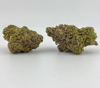 Emerald Cannabis Worx [I] | Mountain Blueberry (1174)