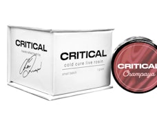 Critical Plus- Cold Cure Live Rosin- Champaya- hybrid