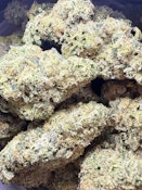 First Class Gas | Concrete Cultivation