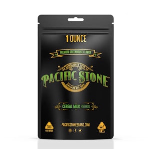 PACIFIC STONE - Pacific Stone - 805 Glue 28g [H]