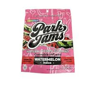 Park Jams - Edible - Watermelon Gummies - 100mg