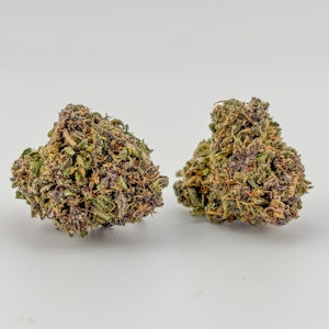 SIMPLY SOL - Simply Sol | Safyre