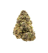 Kingston Royal - Flower - Infused - Cherry Corvette - 3.5g