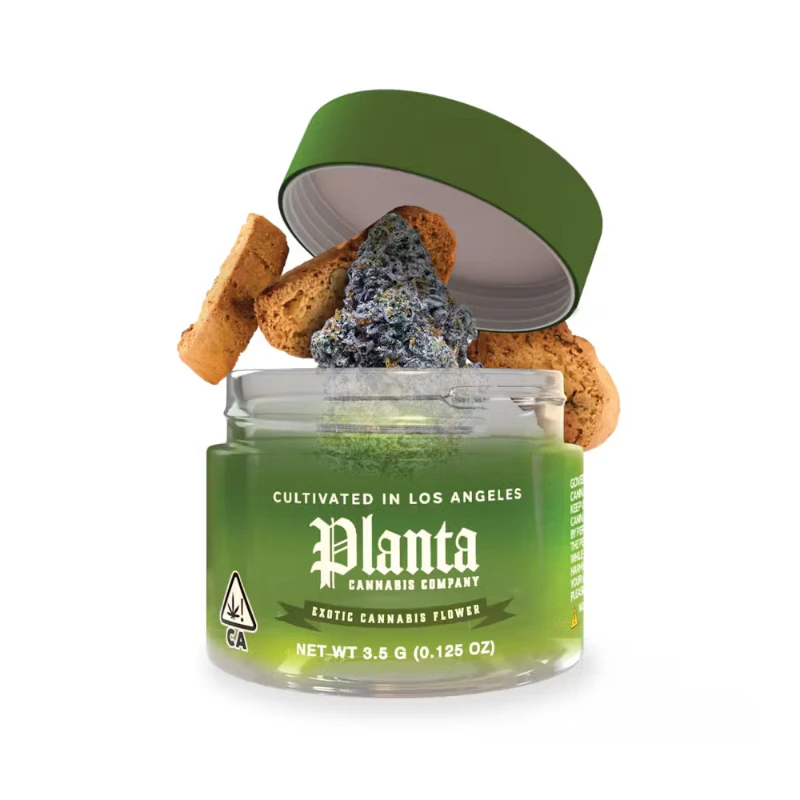 Planta - Planta - Flower - Biscotti - 1g Main Image