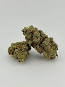 Focus North | Flower [I] | Fatso (0887)