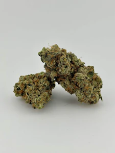 FOCUS NORTH - Focus North | Flower [I] | Fatso (0887)