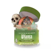 Planta - Flower - Gelonade - 3.5g