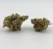 Focus North | Flower [S] | Off World #3 (6855)