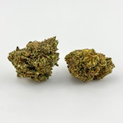 Williams Wonder | Flower [H] | Eurostep #4 (1916)