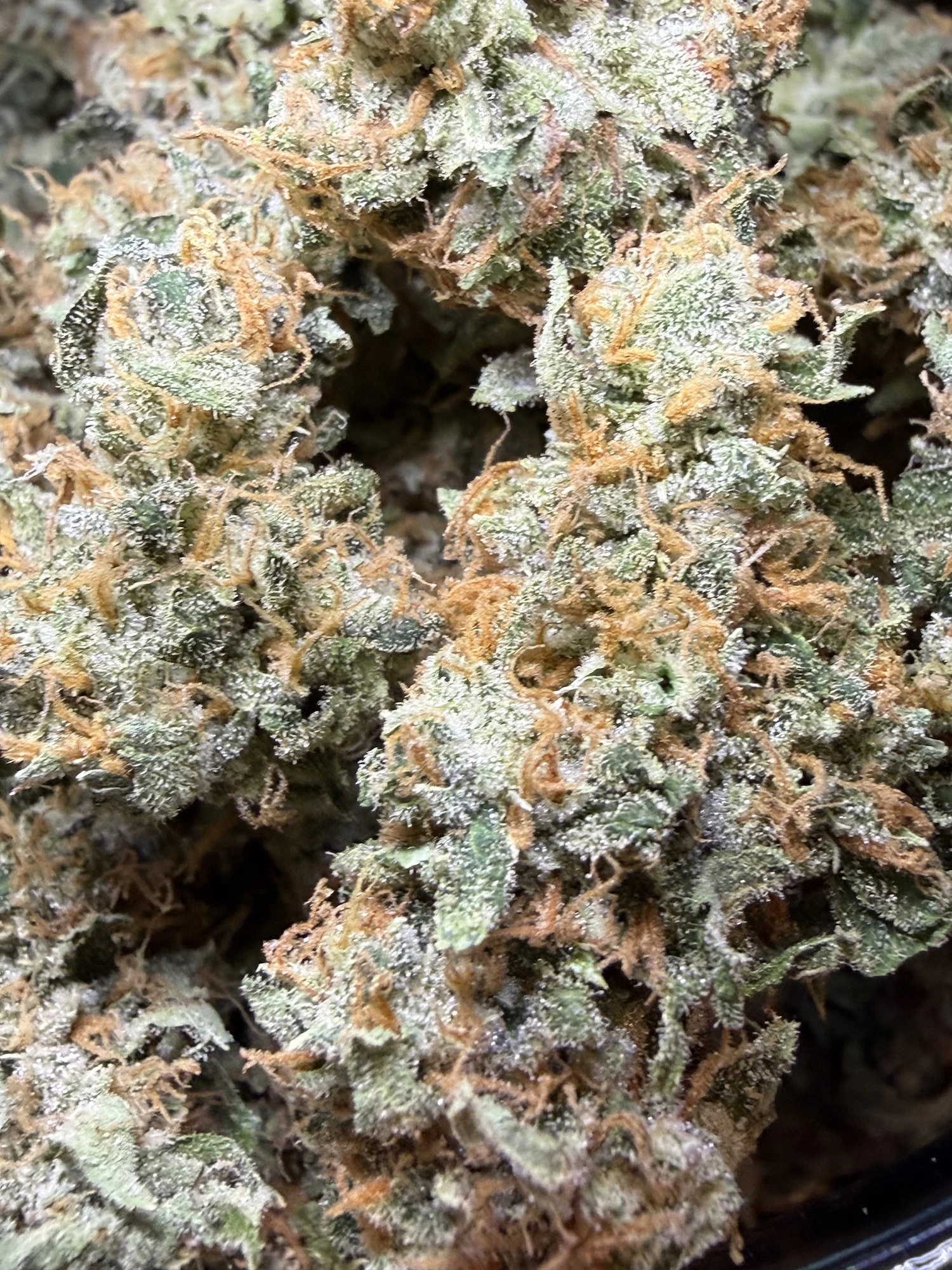 FRAKTAL - Sour Haze | FRAKTAL Main Image